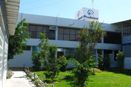 Nuestra empresa mision y vision